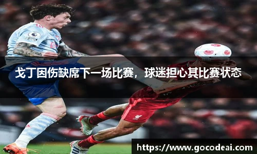 戈丁因伤缺席下一场比赛，球迷担心其比赛状态